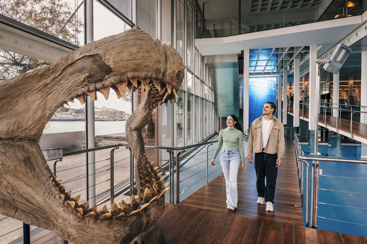 Аквариум Барселоны: Входной билет