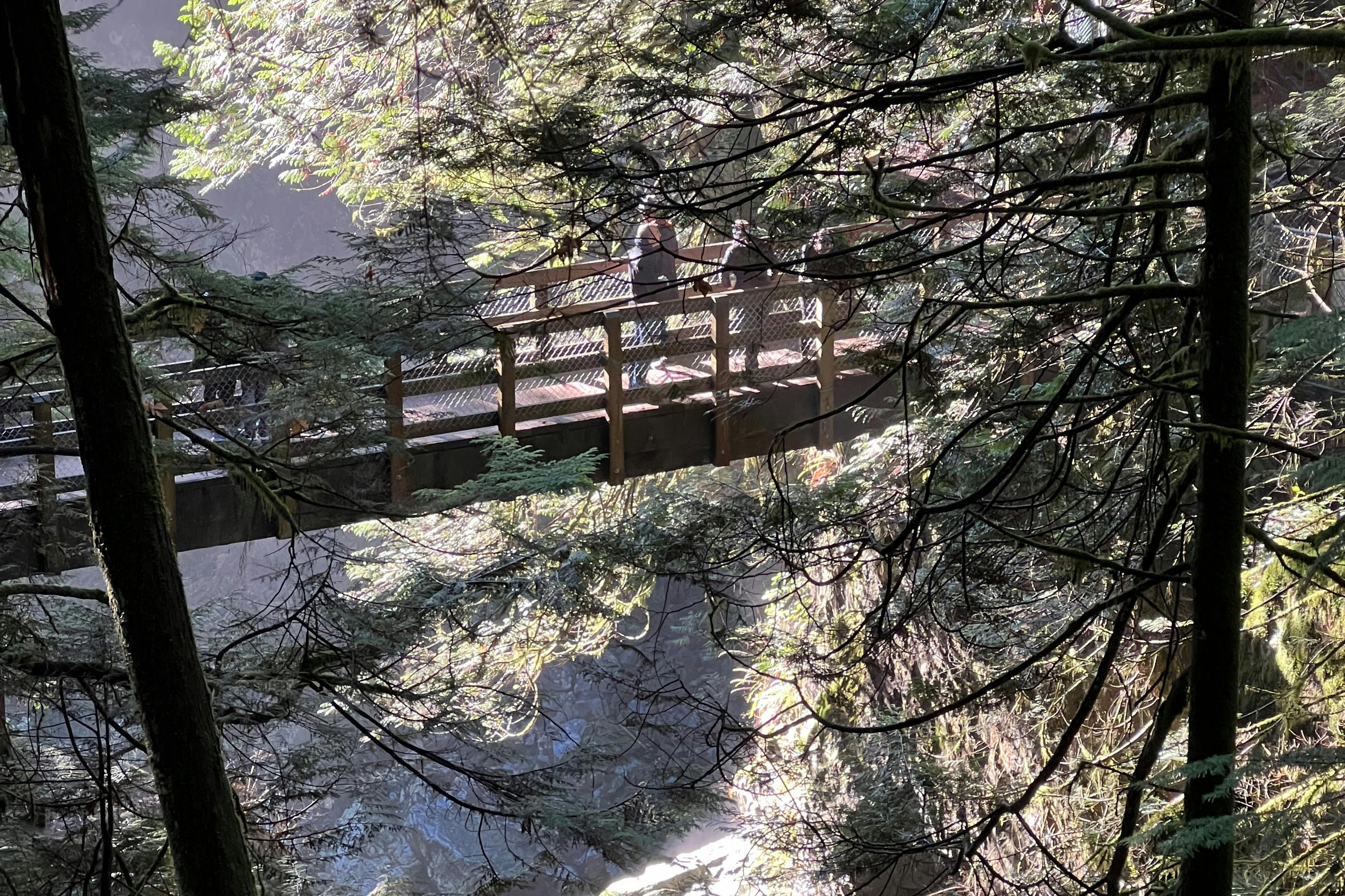 Γέφυρα με θέα στους καταρράκτες