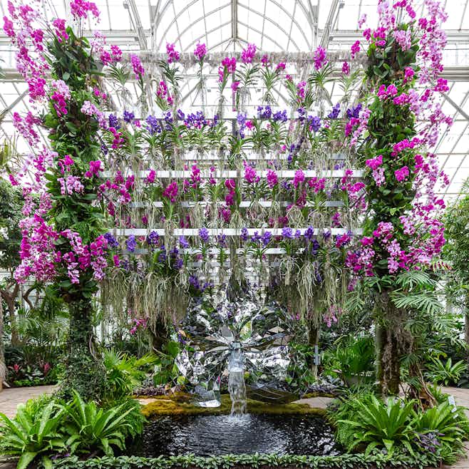Tickets For New York Botanical Garden Tiqets