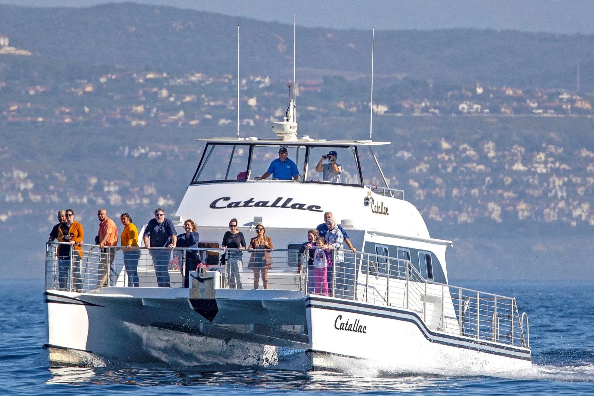 Los Angeles: Luxury Whale Watching Tour