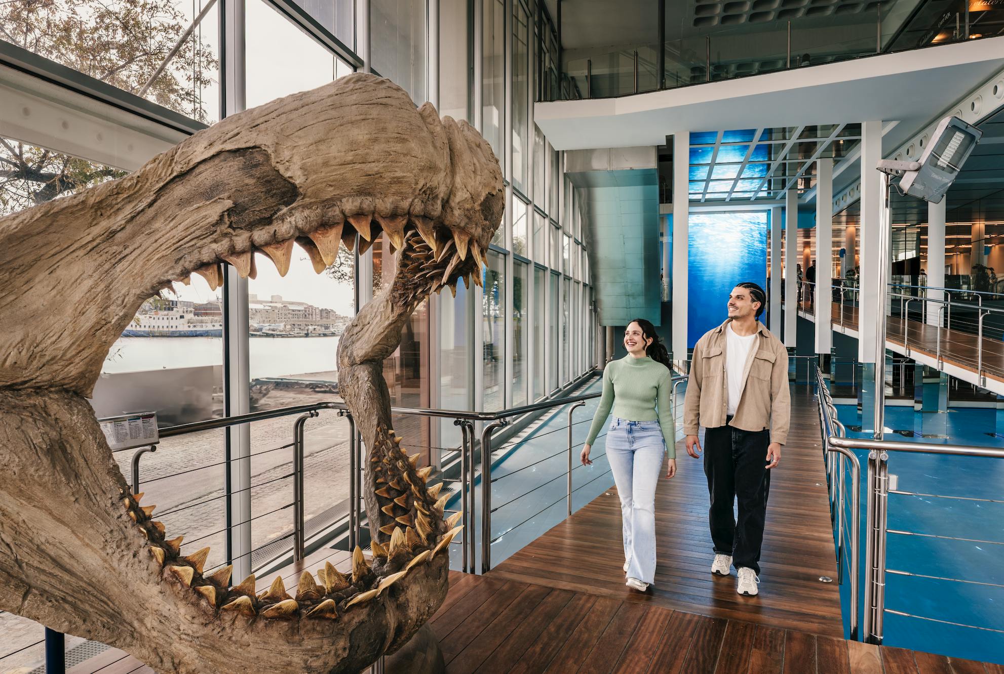 Un homme et une femme marchant à l'intérieur d'un bâtiment moderne devant une grande exposition de crânes de dinosaures.