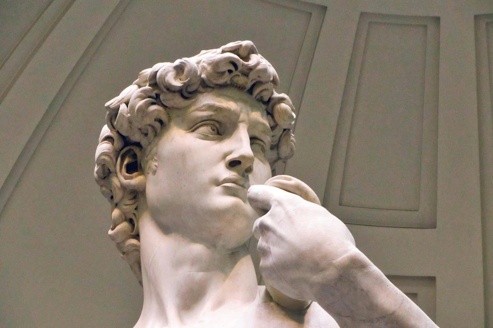 david