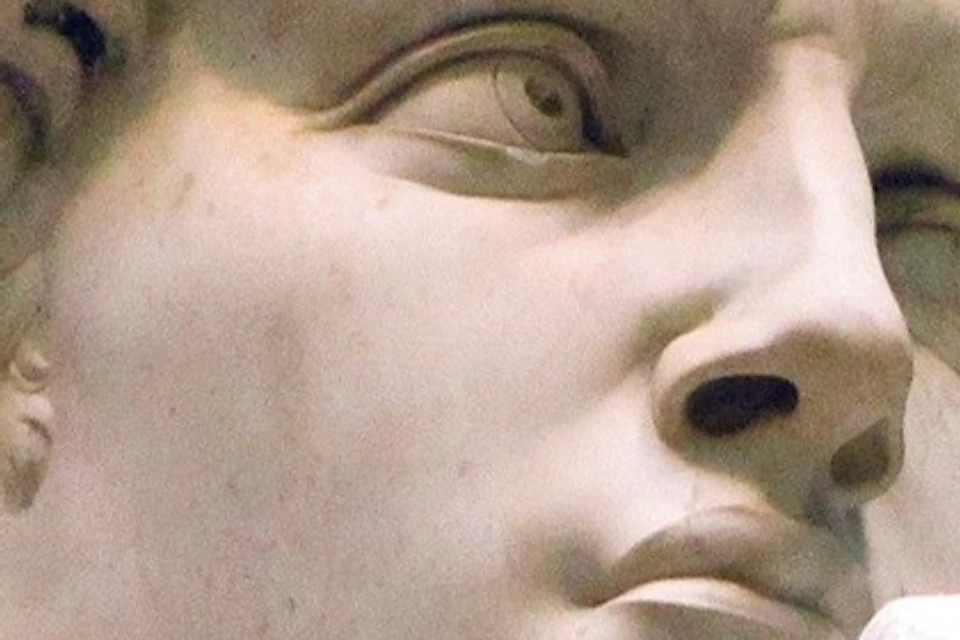 david