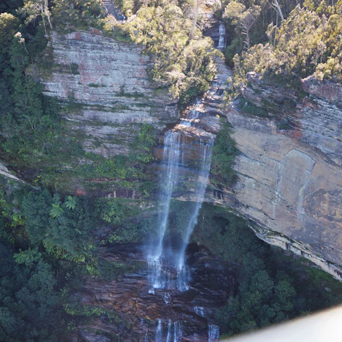 Blue Mountains & Sydney Zoo: Small-Group Guided Tour from Sydney - Photo 8