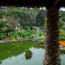 Japanese Tea Garden