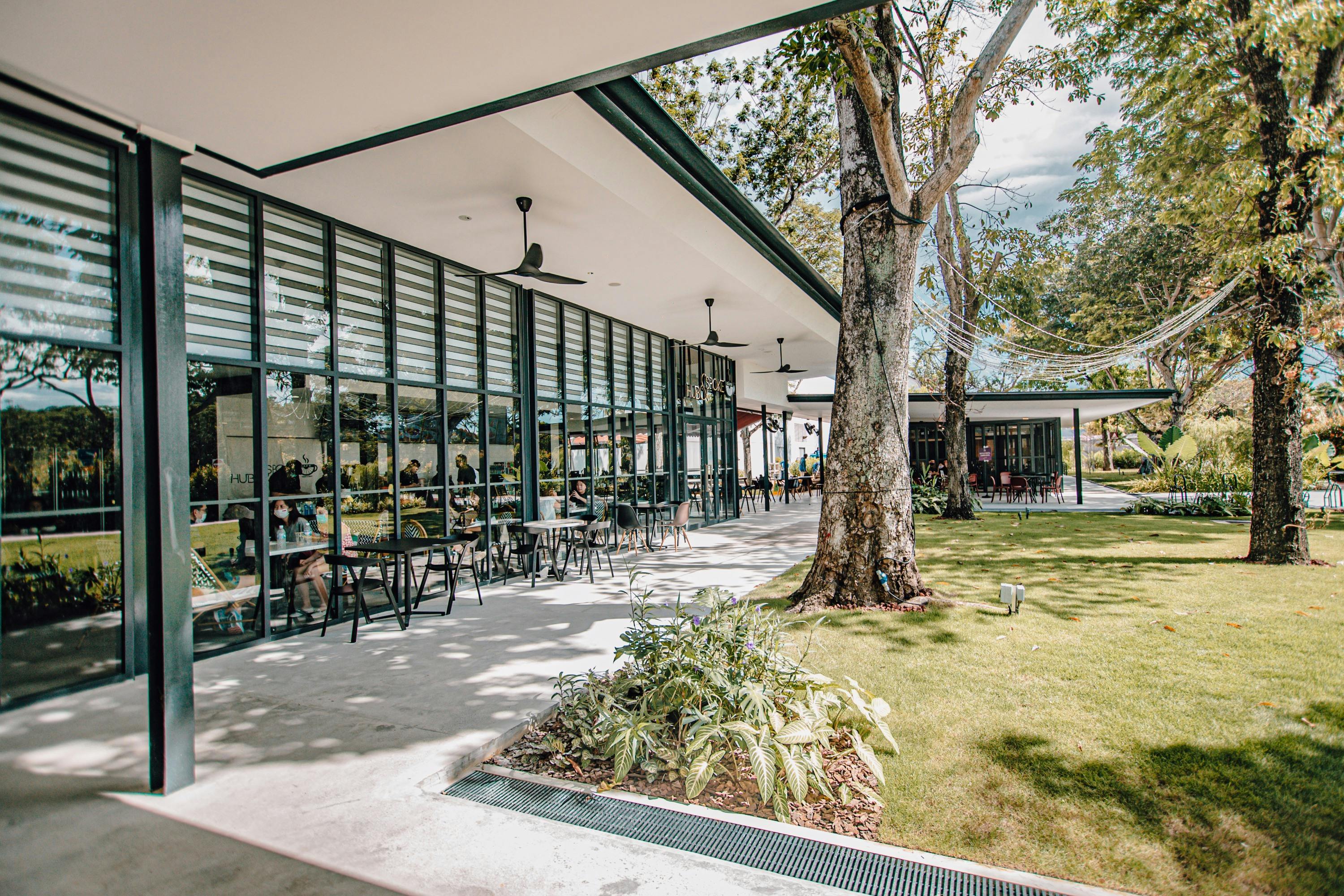A modern outdoor cafe with seating, large windows, trees, and a grassy area bathed in sunlight.
