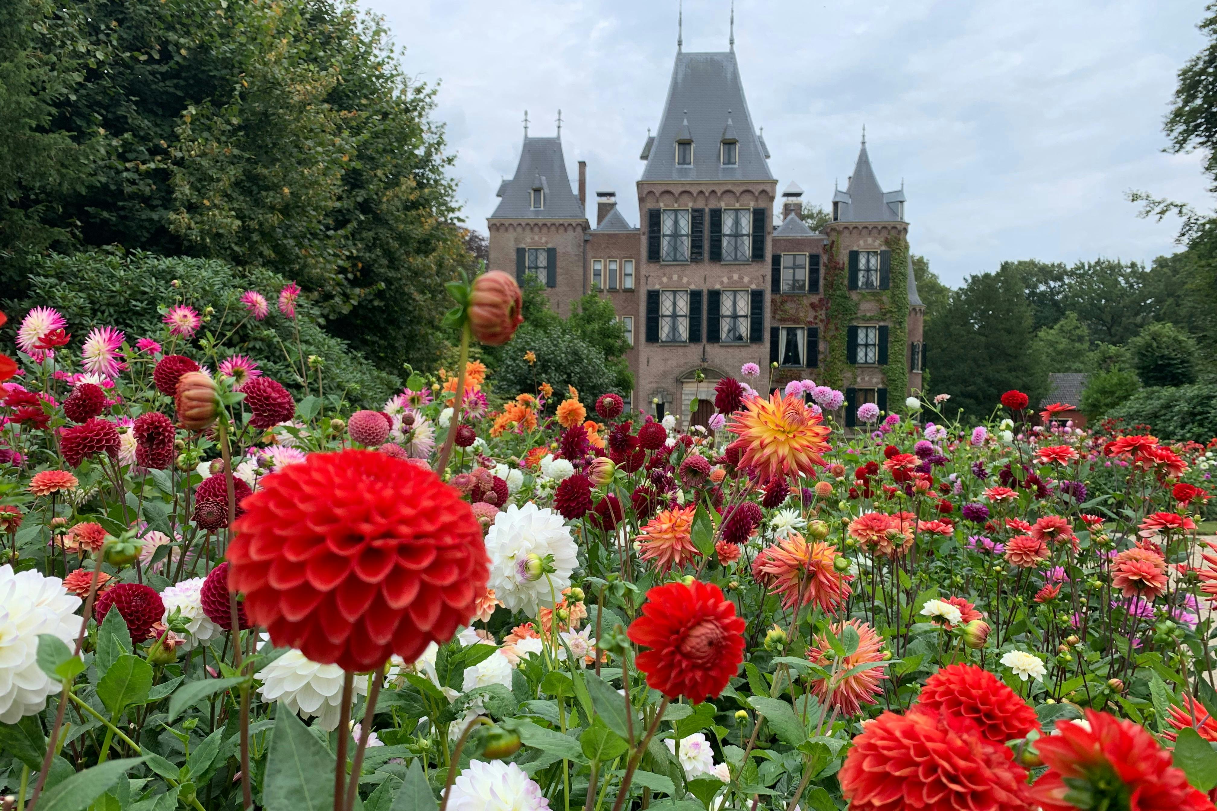 Zahrada jiřinek na zámku Keukenhof