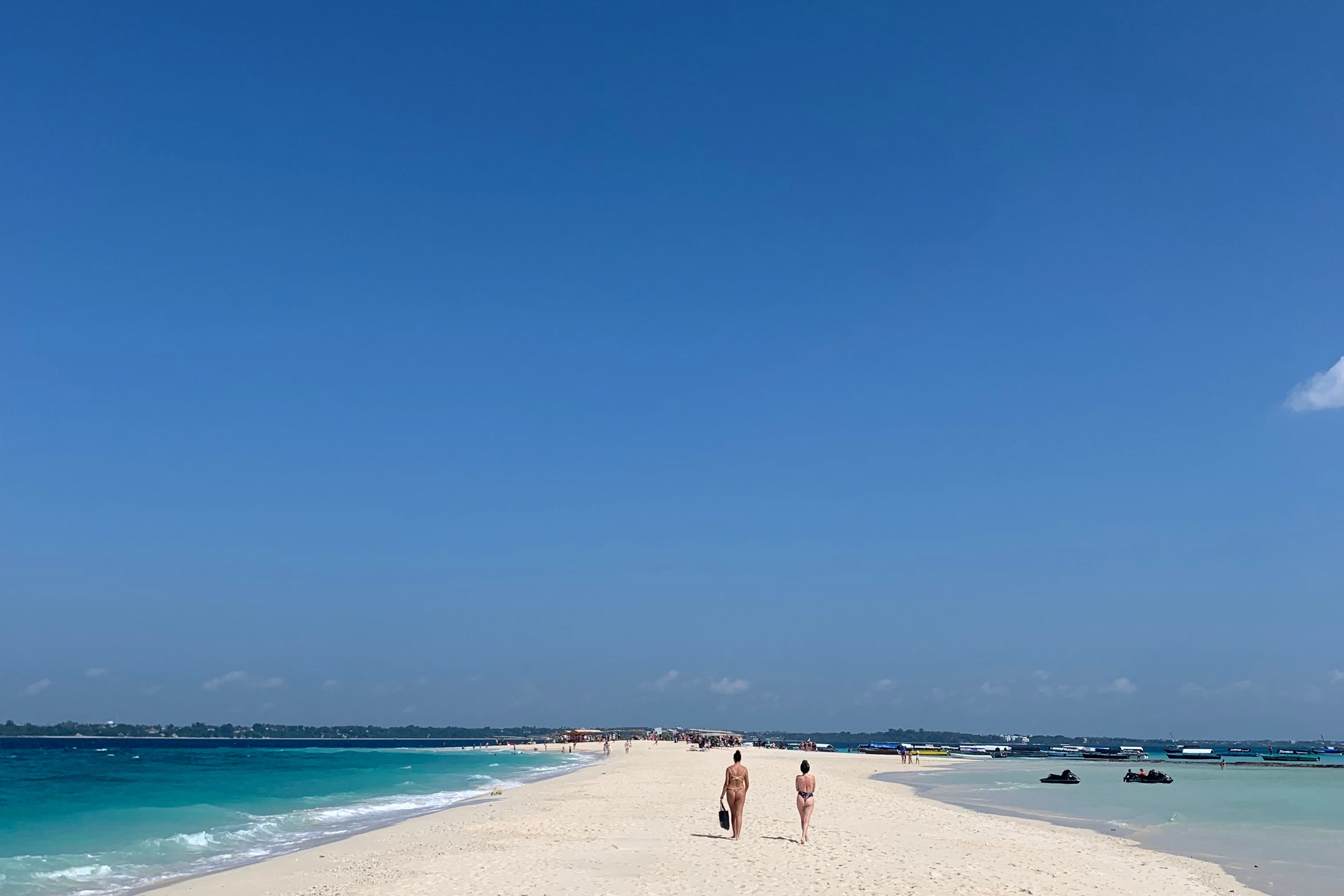 Zanzibar: Swimming with Dolphins Day Trip