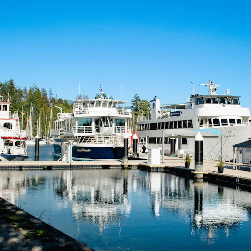 Vancouver: Passeio de barco com brunch - Photo 4