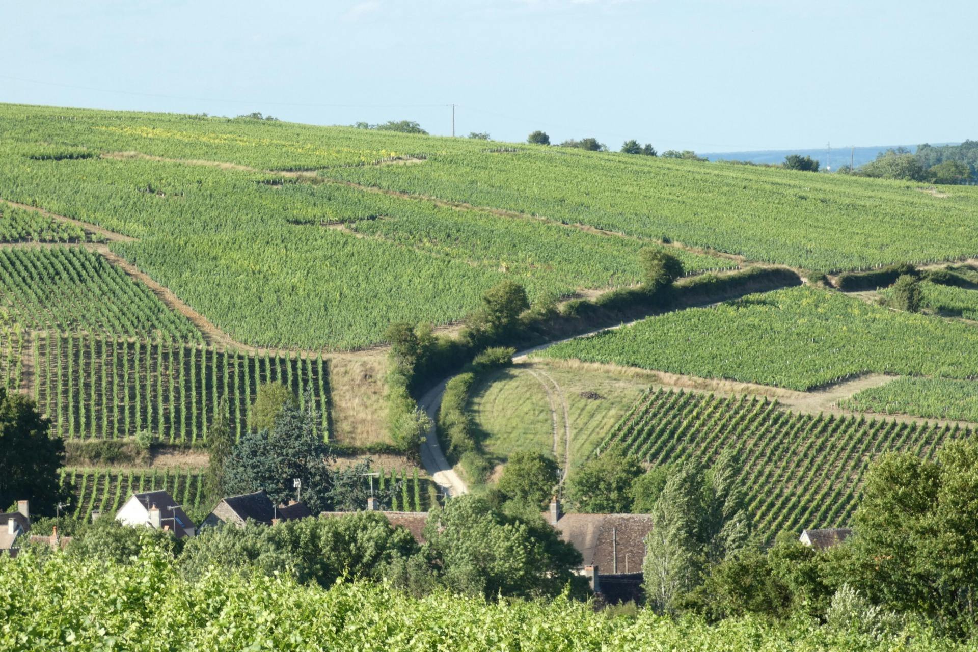 Το κείμενο που παρέχεται δεν είναι σε γλώσσα, είναι απλώς ένα σύμβολο περιόδου.