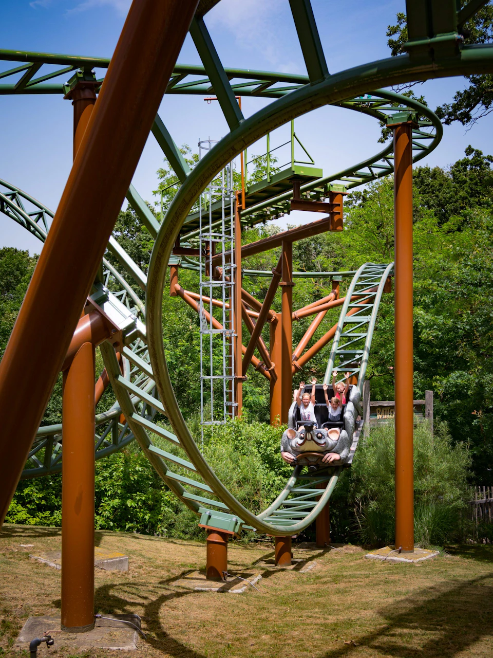 People riding a looping roller coaster surrounded by lush green trees on a sunny day.