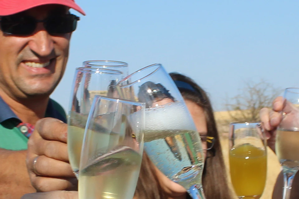 A group of people toasting with champagne glasses in a sunny field, some wearing hats and sunglasses.