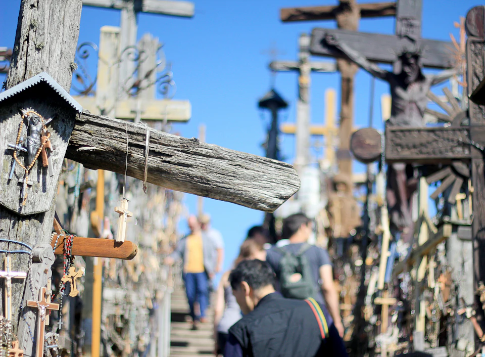 People walking among numerous large, weathered wooden crosses under a clear blue sky.