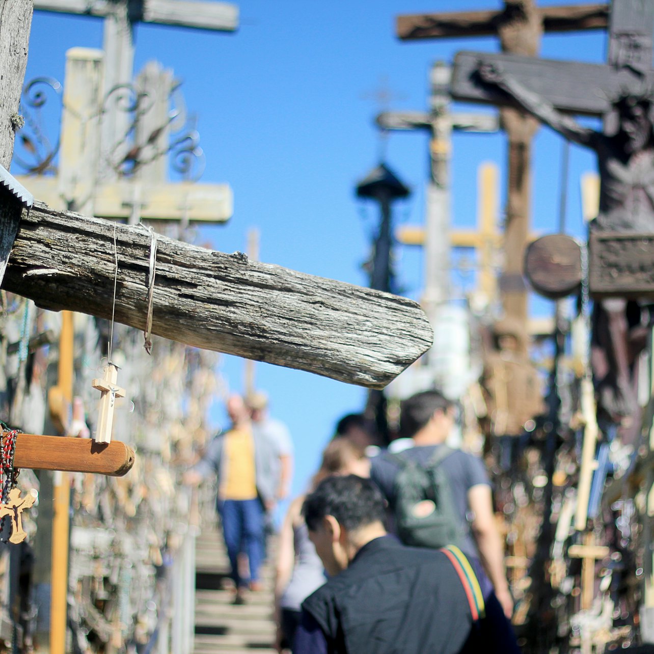 Hill of Crosses & Šiauliai: Roundtrip from Vilnius - Accommodations in Vilnius