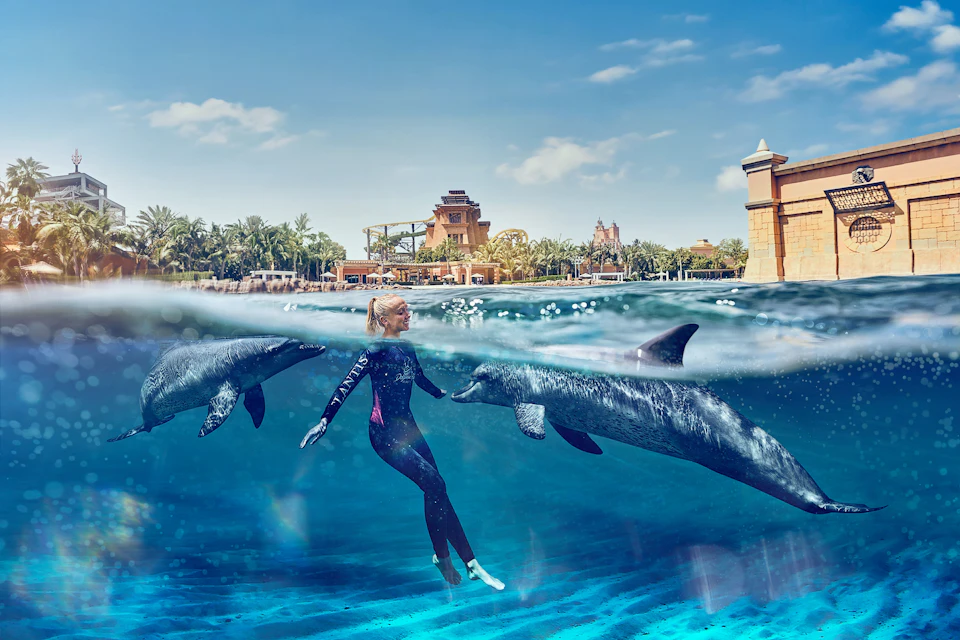 Aquaventure Waterpark - Atlas Village: Dolphin Swim