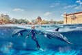 Vodní park Aquaventure - vesnice Atlas: plavání s delfíny