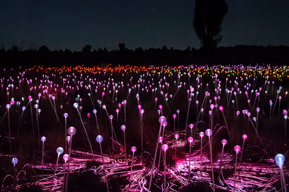 暗い夜空を背景に、さまざまな色の棒の上に輝く光のオーブのフィールド。
