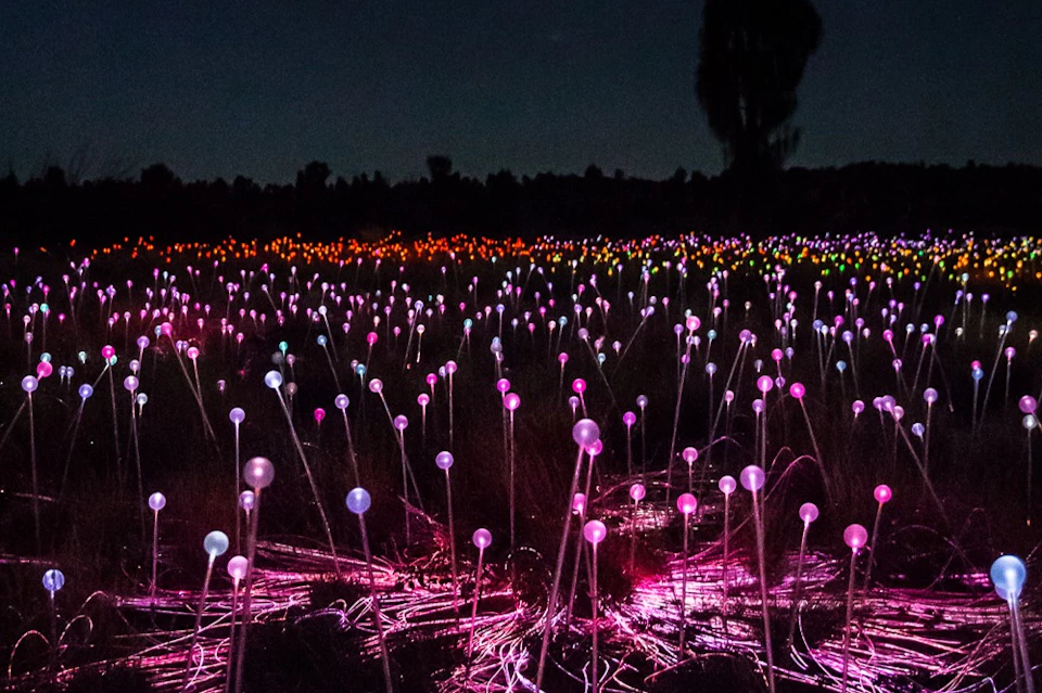 A field of glowing light orbs on sticks in various colors, set against a dark, night sky.