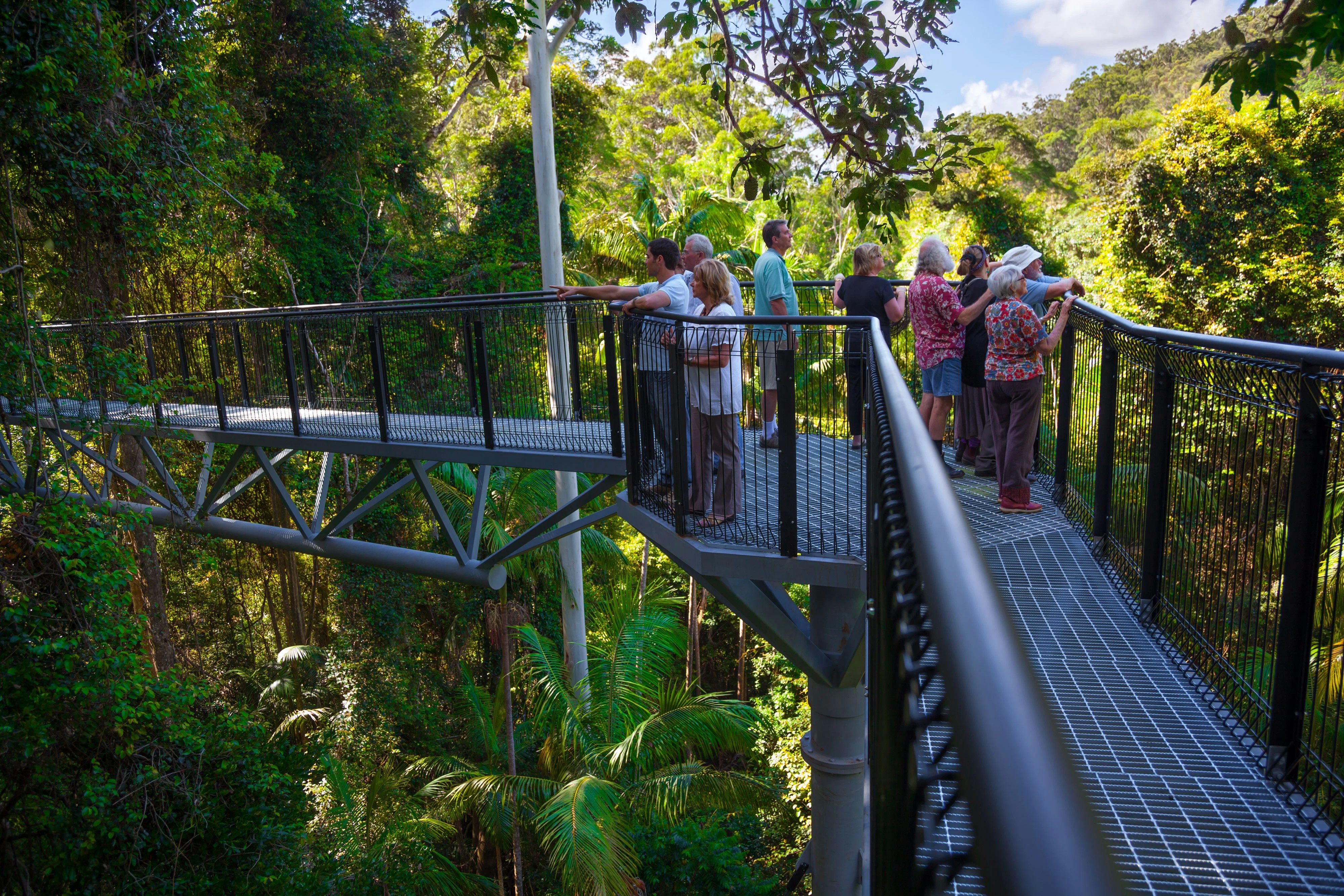 Tamborine Mountain: Hop-on Hop-off Bus from Brisbane