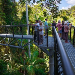 Tours & Sightseeing | Hop-on Hop-off Tours Brisbane things to do in Shorncliffe QLD