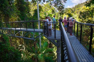 Mount Tamborine: Tagesausflüge und Touren ab Brisbane