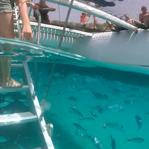 Cap Norfeu e Cadaques: Viagem de barco saindo de Roses - Photo 2