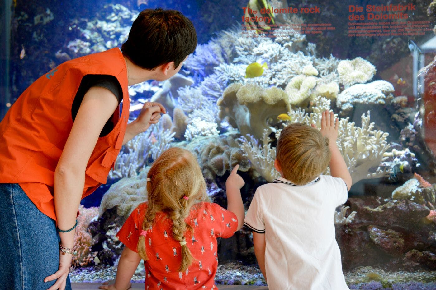 뮤즈의 열대 수족관