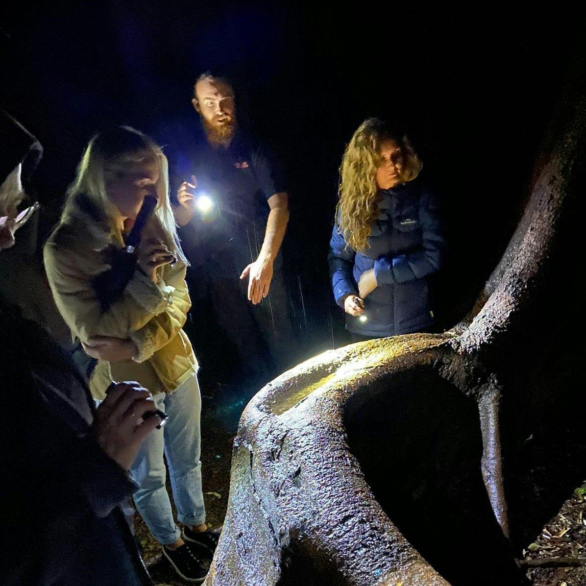 四个人探索一个黑暗的户外区域，用手电筒检查一个大树干。