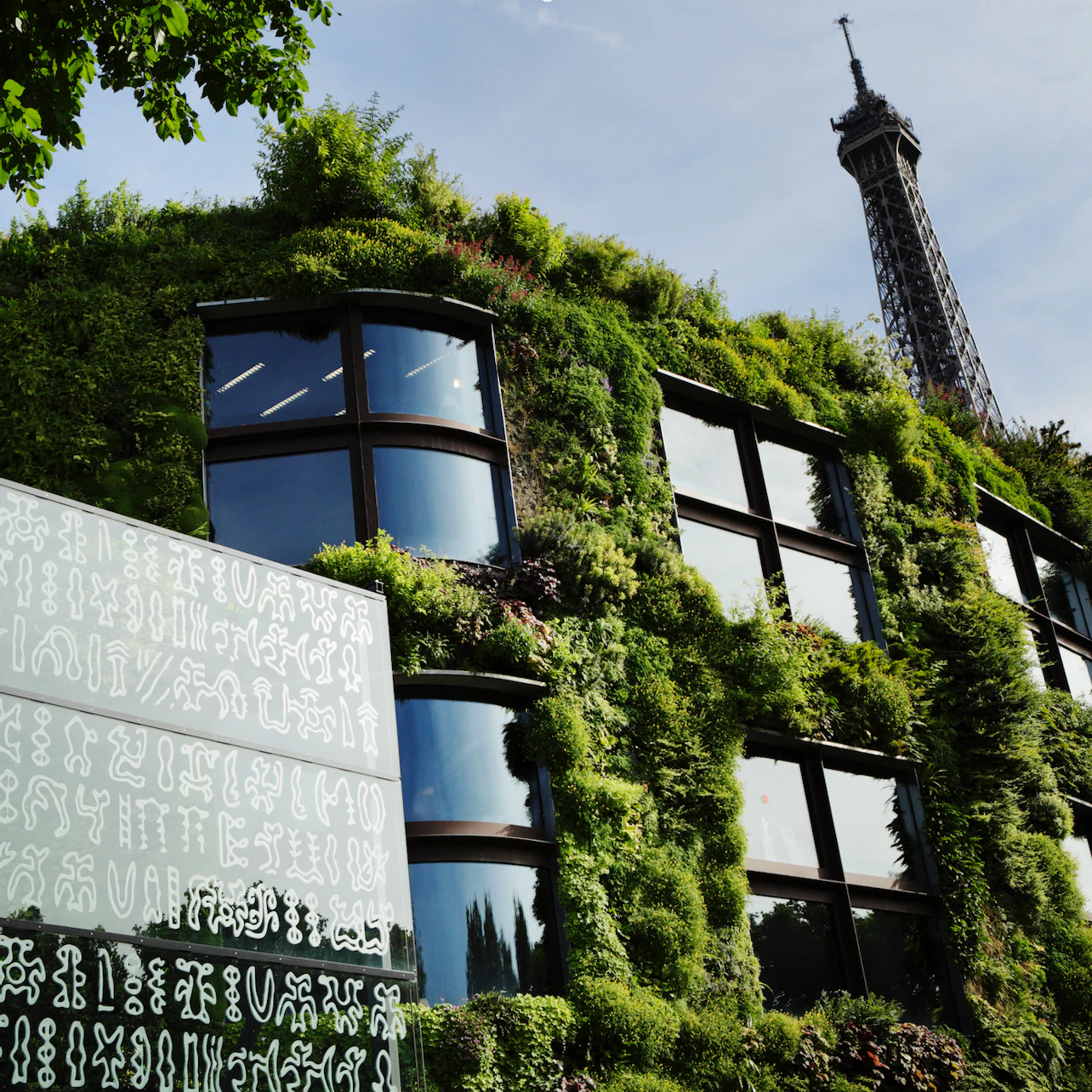 Musée du Quai Branly Entry Ticket