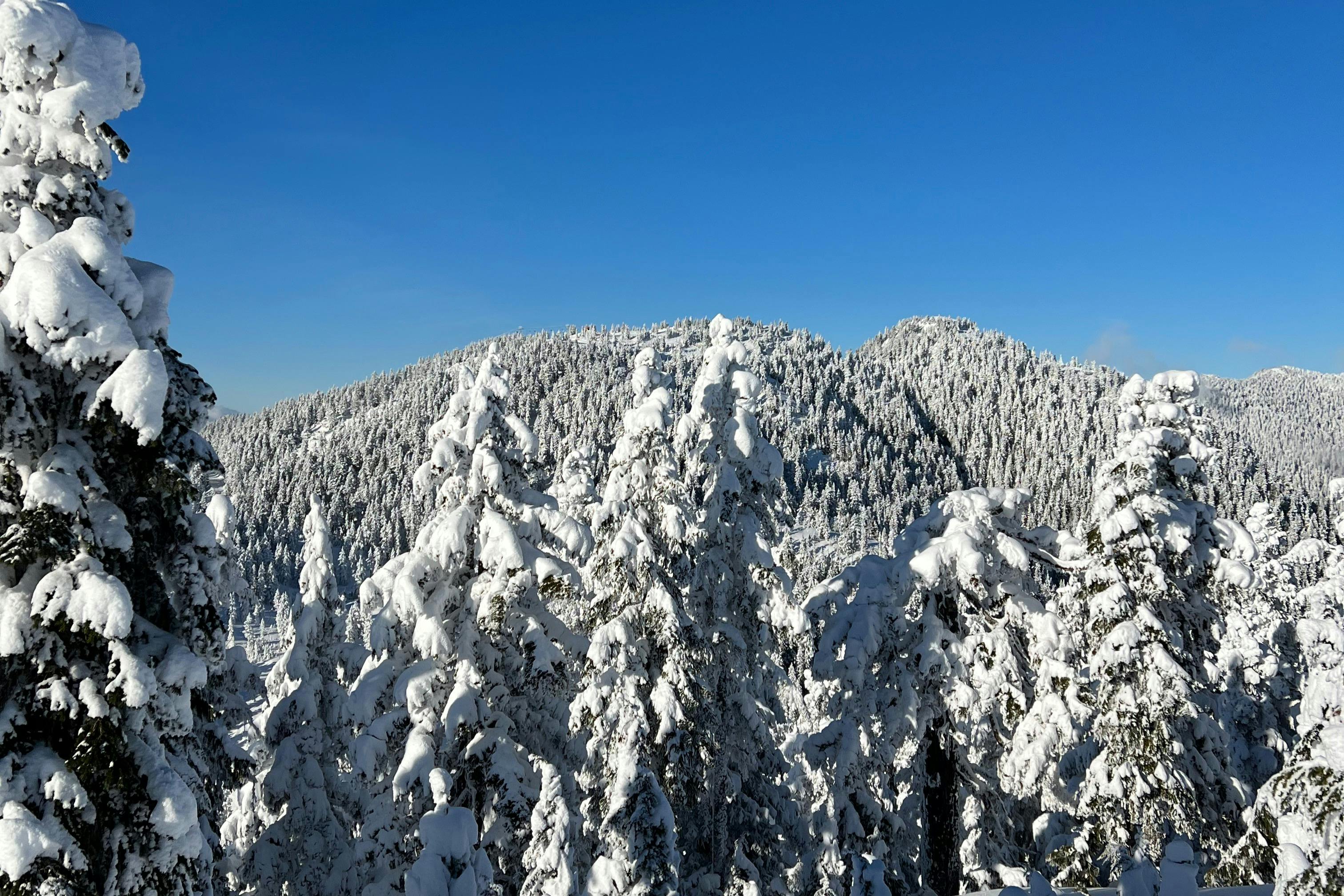 新雪の後の青空に勝るものはありません。
