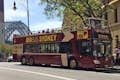 Hop-On Hop-Off Big Bus: Discover Tour (rote und blaue Routen)