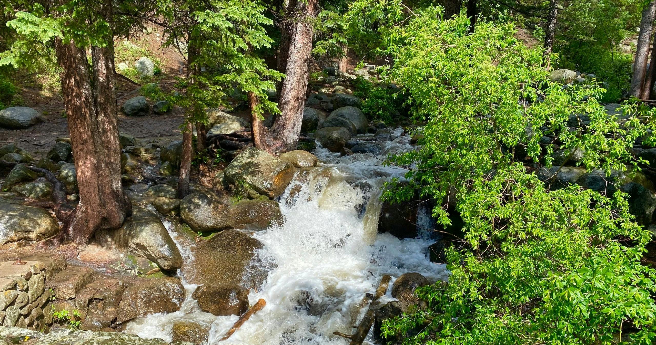 Slider Image