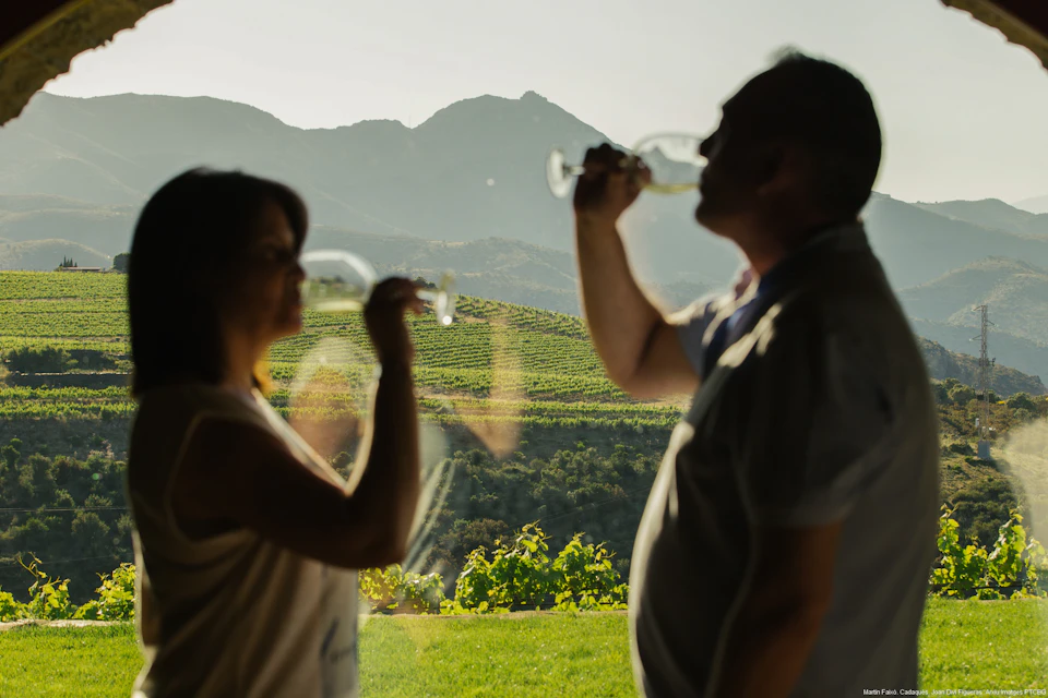 Two people, backlit, drinking wine in front of a window with a view of vineyards and mountains.