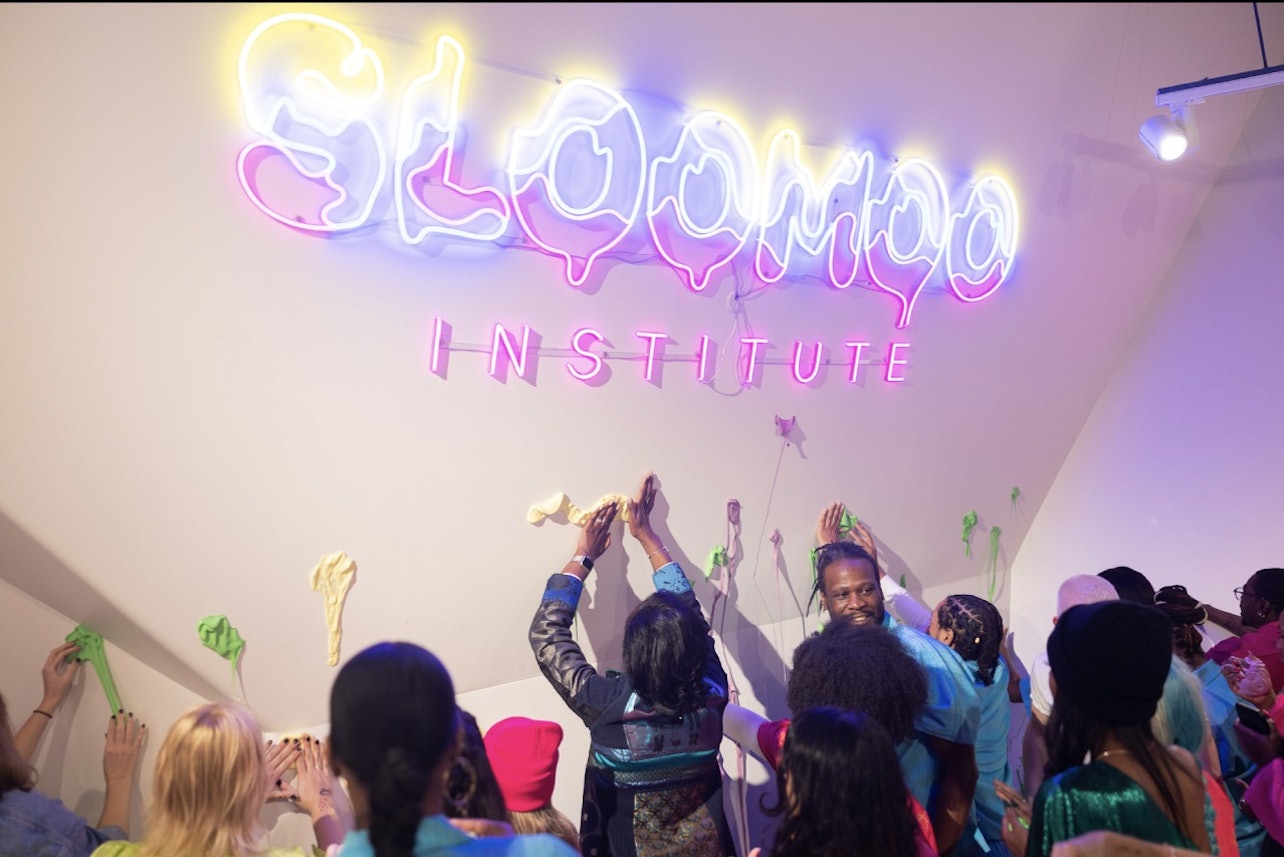 Istituto Sloomoo - Atlanta - Alloggi in Atlanta, Georgia