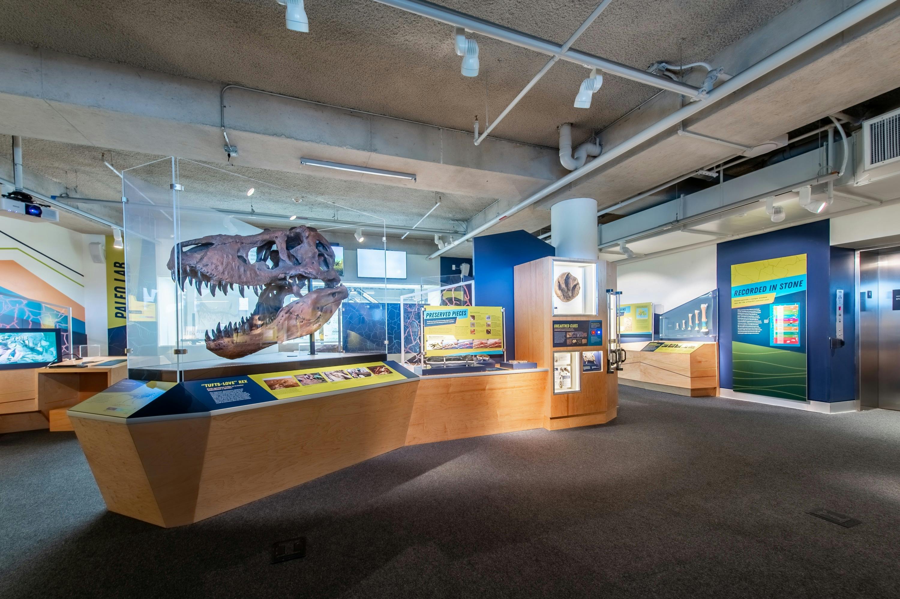 Une exposition muséale présentant un crâne de dinosaure, des installations interactives et des panneaux explicatifs, le tout dans un cadre intérieur moderne.