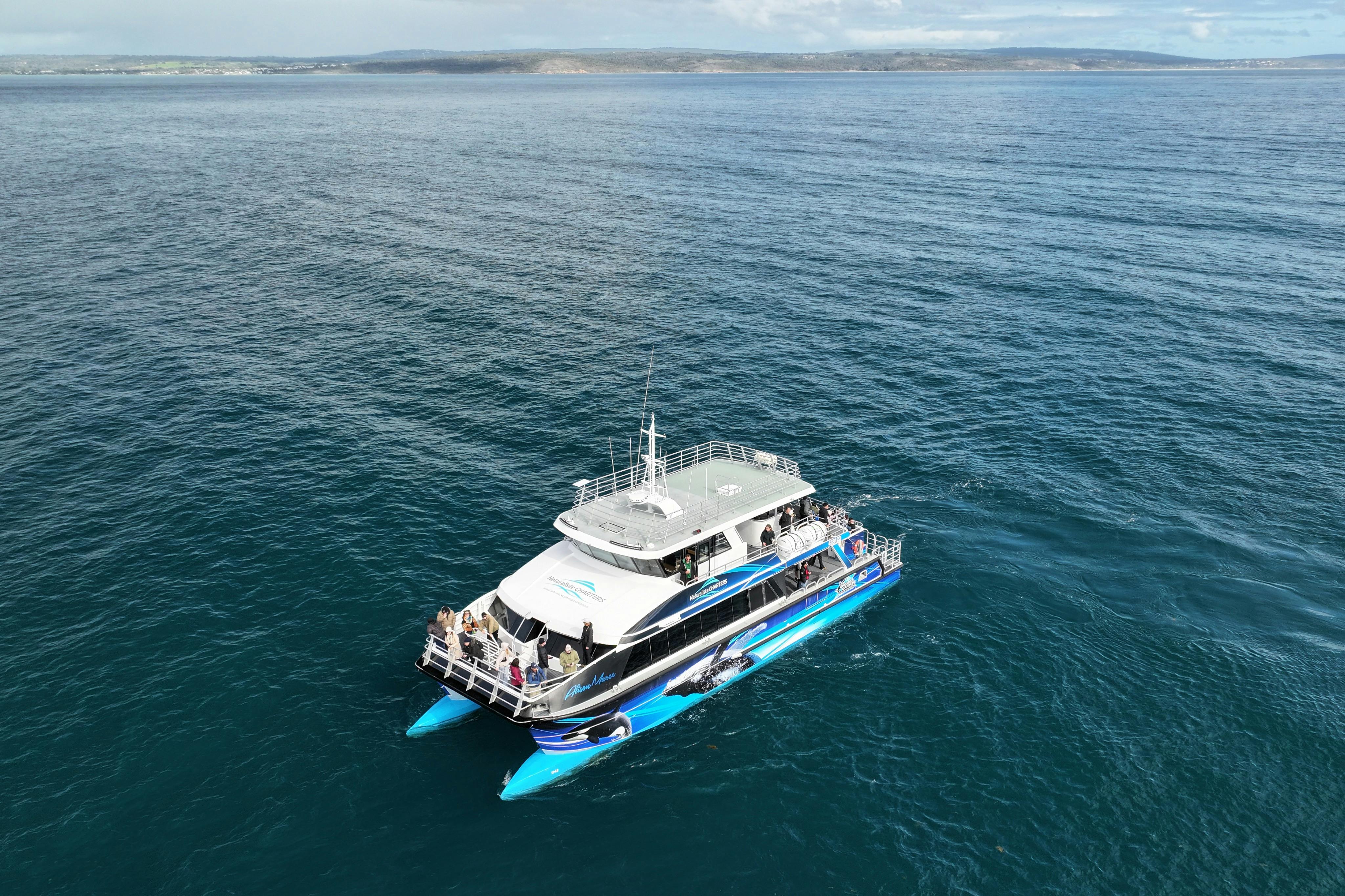 A catamaran on the ocean with passengers on deck, against a backdrop of distant coastline and blue sky.