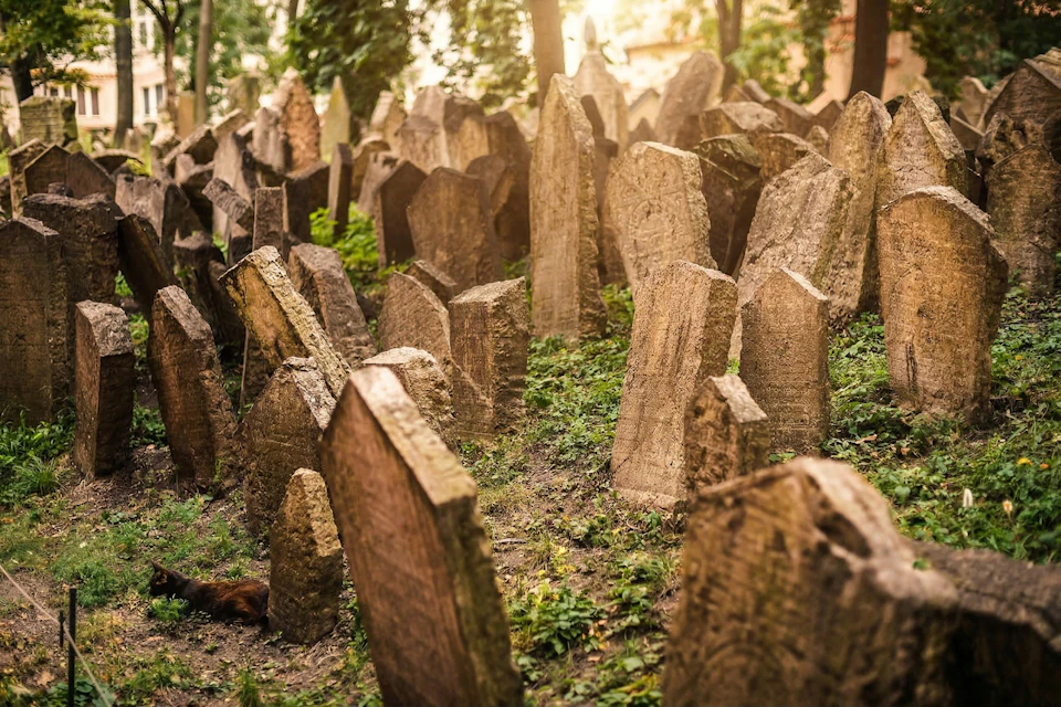 An old cemetery with densely packed, weathered gravestones surrounded by overgrown grass and trees under warm sunlight.