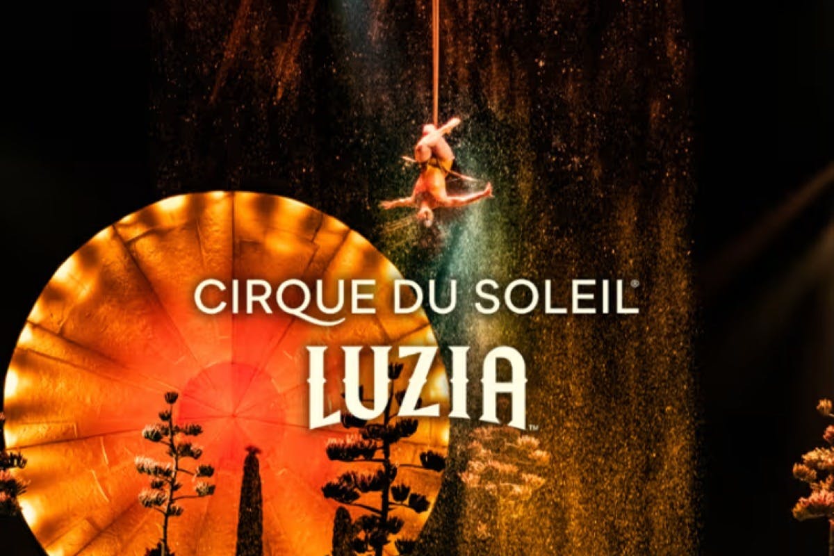 Cirque du Soleil LUZIA Miami: bilhete de entrada - Photo 7