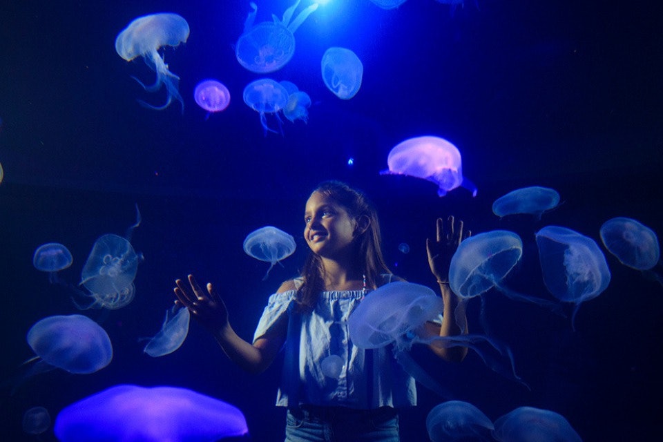 Palma Aquarium + Palma Cathedral
