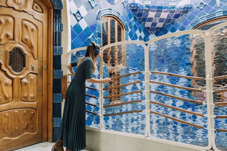 Casa Batlló: Bilhete de entrada padrão (azul) Bilhete - 2