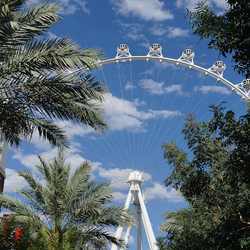 LINQ High Roller: Entry Ticket