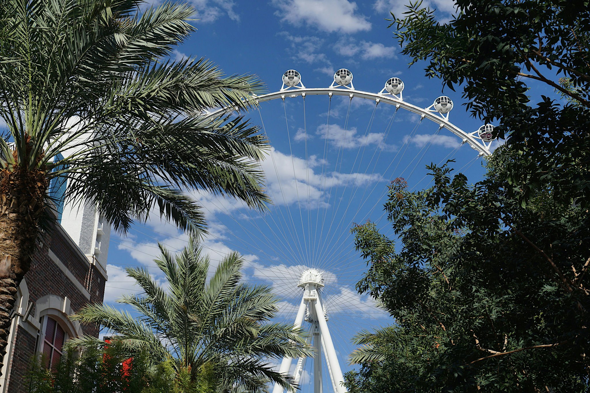LINQ High Roller