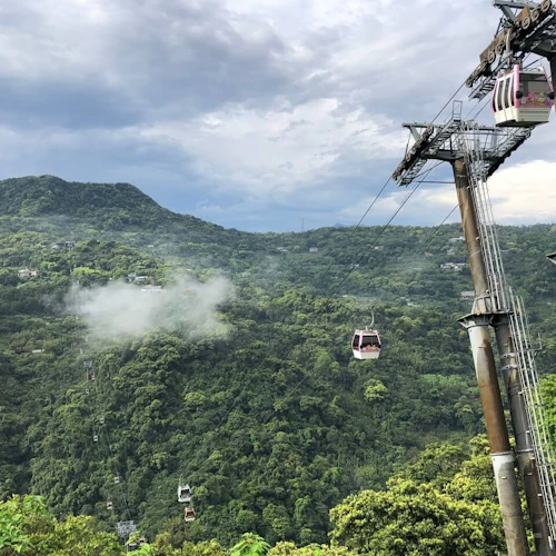 Pinglin Tea Culture & Maokong: Guided Day Tour from Taipei + Gondola Ride - Photo 4