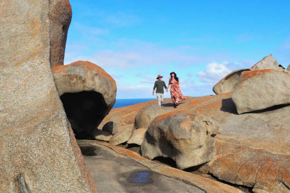 カンガルー島体験終日ツアー