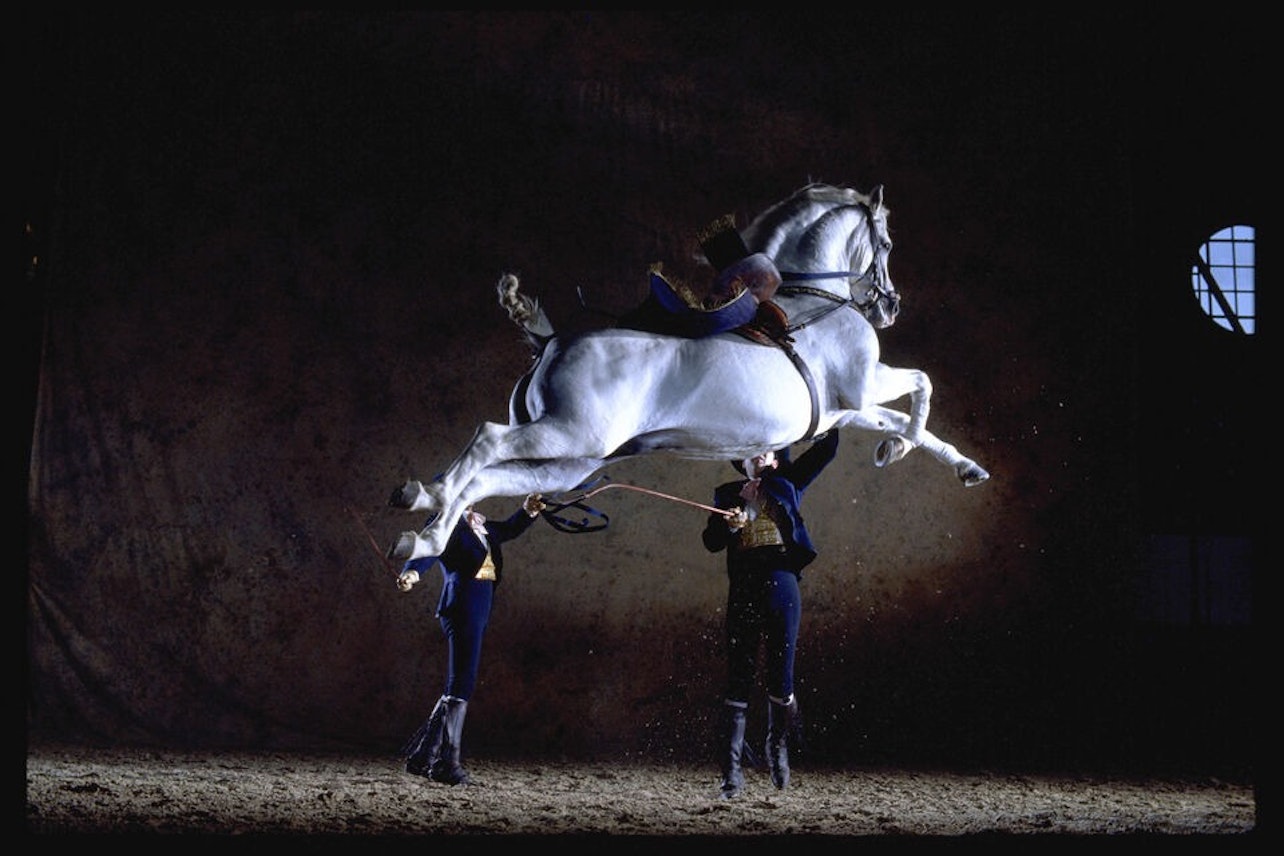 Escola Real Andaluza de Arte Equestre: Exposição Andaluza de Cavalos - Acomodações em Jerez de la Frontera