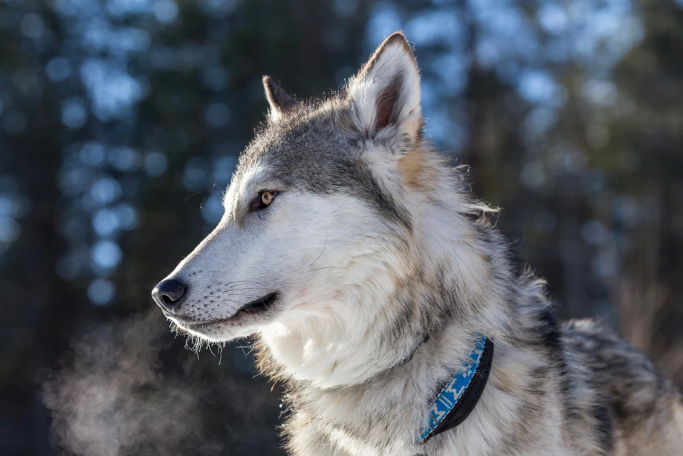 Winter hike
