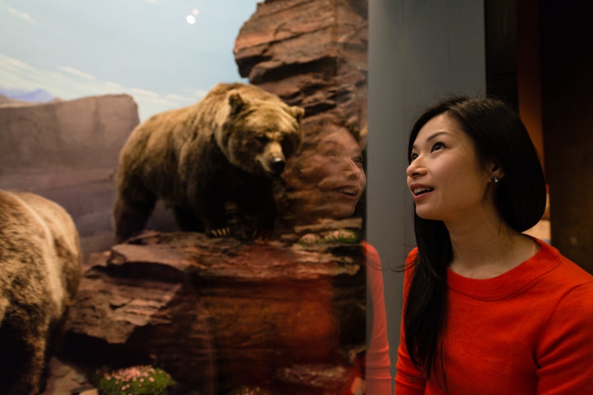 캐나다 자연 박물관