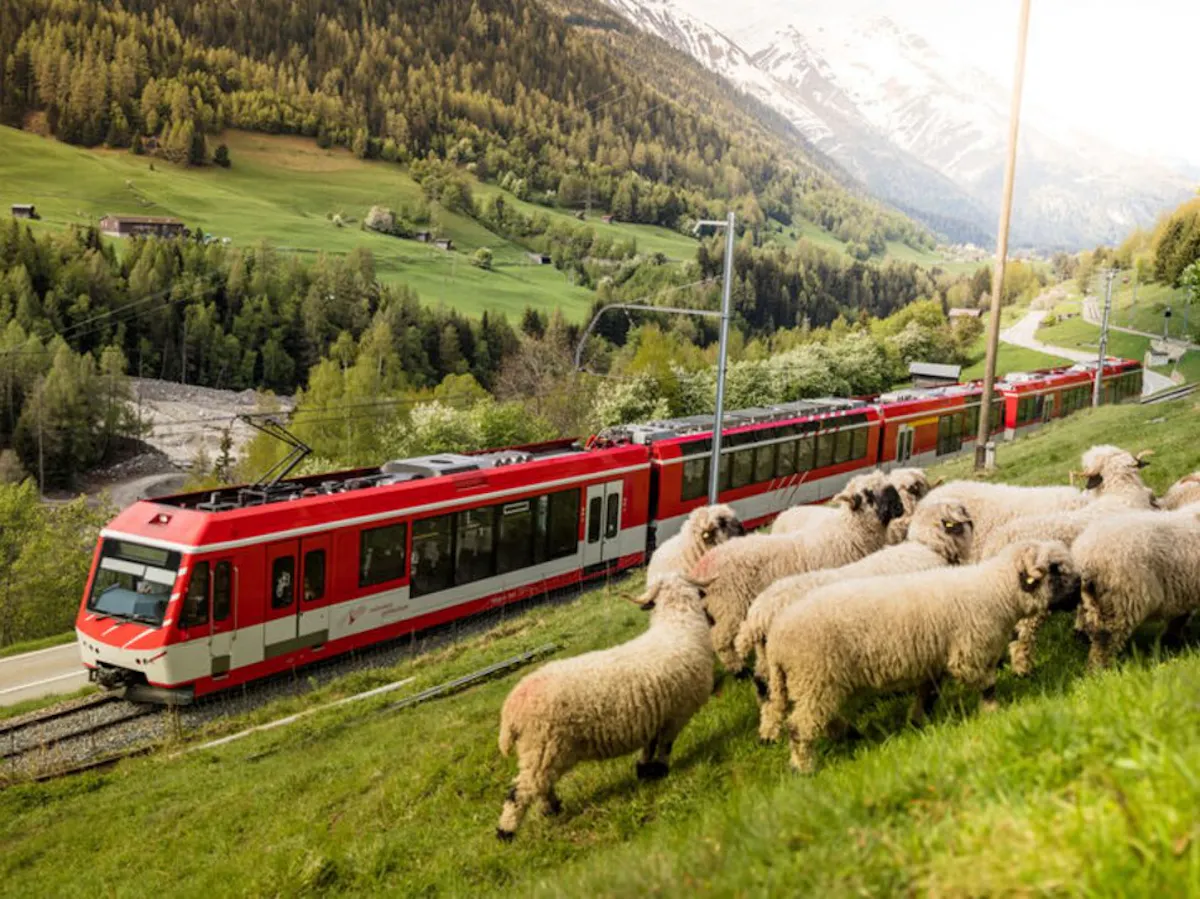 Gornergrat Bahn: Sightseeing Train