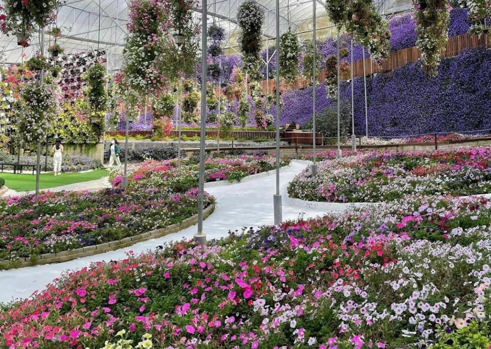 A vibrant floral garden with colorful flowers and hanging plants under a glass roof, featuring paths and greenery.