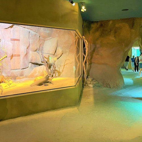 Tour Image 3
